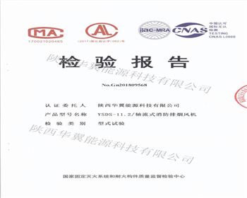 檢驗(yàn)報(bào)告